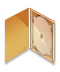 cd-digipak-template-logo